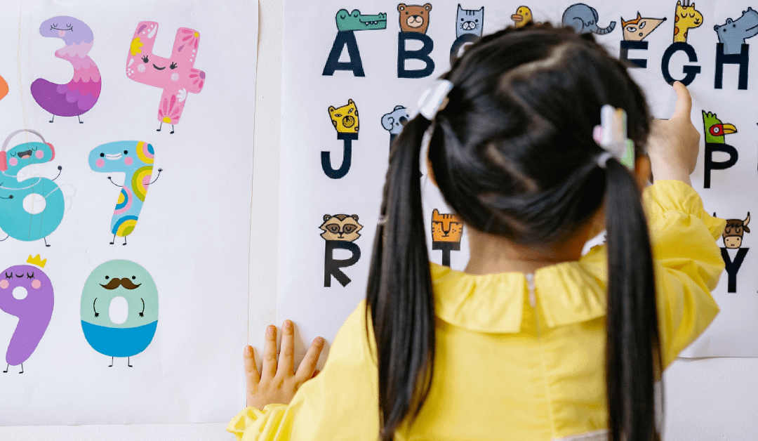 Junior English Courses – New Courses for October 2023 