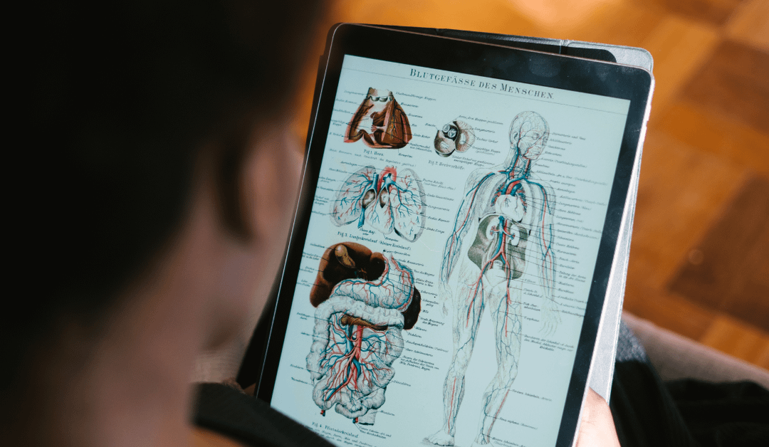 Exam English Courses – New Courses for October 2023 